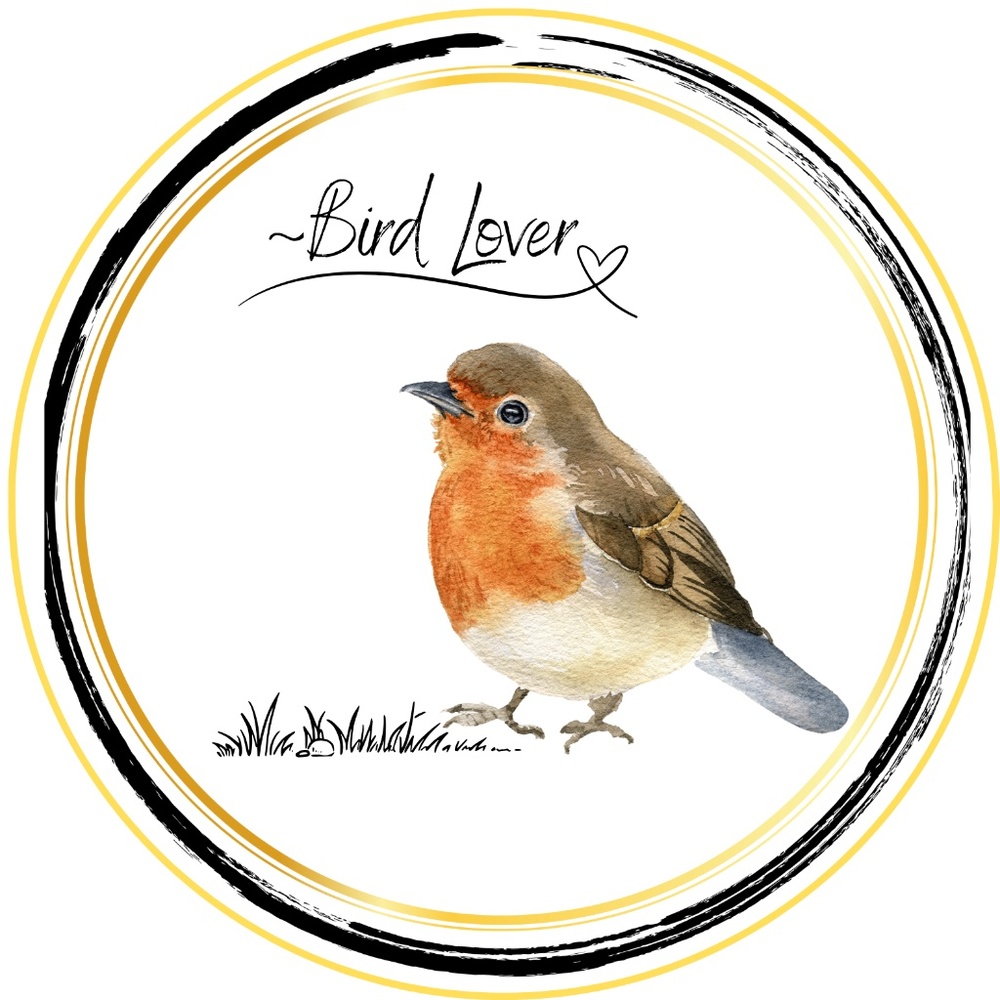Bird Lover Sticker ~ Watercolor Robin ~ Bundle ANY 3 Stickers for $10